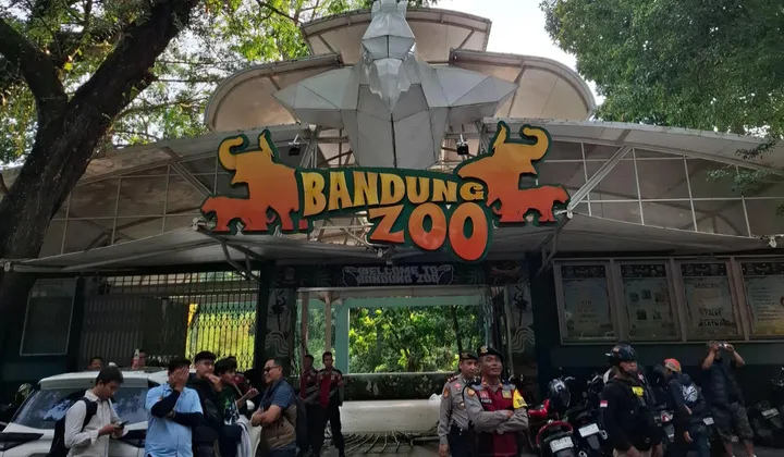 bandung zoom